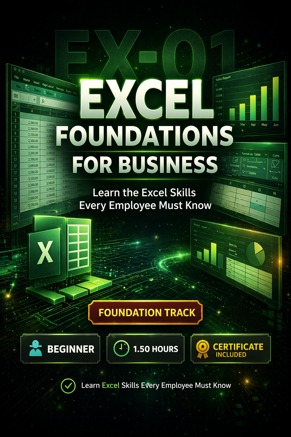 Excel Foundations for Business